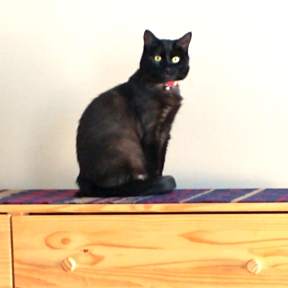 Meet your Posher, RJ